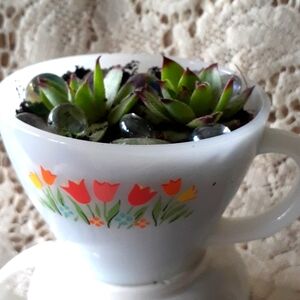 Vintage fire king coffee cup with 2 hen and chicks